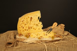 gravyer peyniri